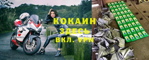 шишки Лихославль