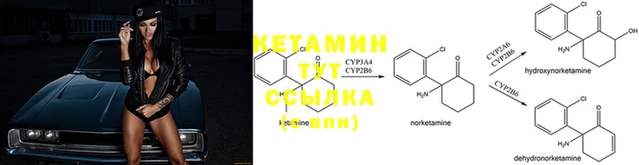 сатива Липки