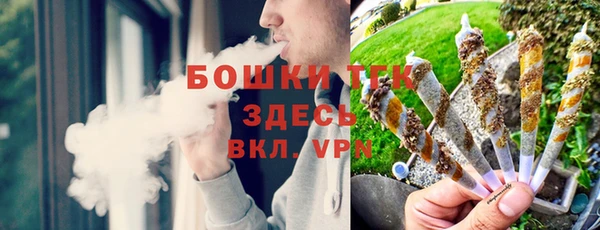 сатива Липки