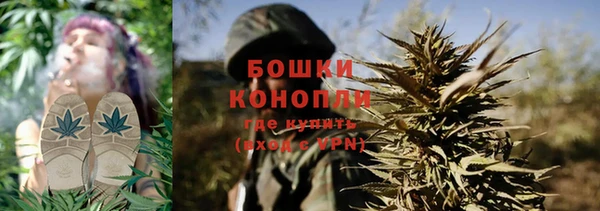 шишки Лихославль